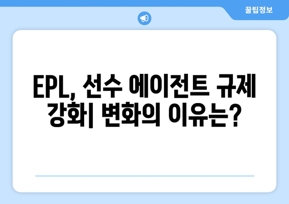 2024-25 EPL: 프리미어리그의 선수 에이전트 규제 정책