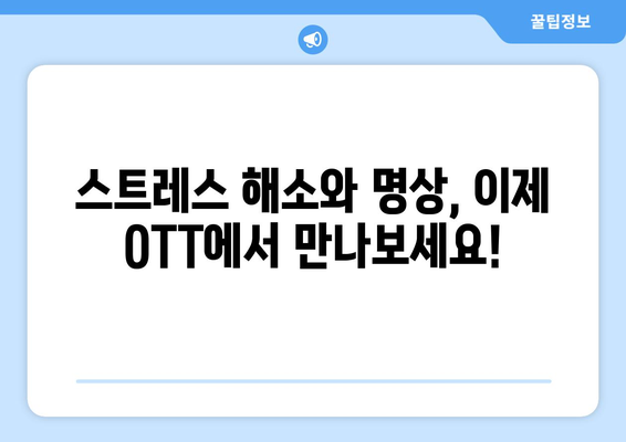 마음 챙김과 웰빙 콘텐츠: 8월 OTT 가이드