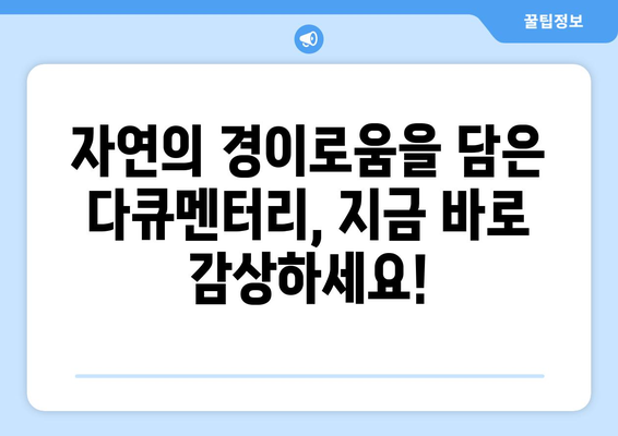 디즈니플러스 8월 동물 다큐멘터리 영화 컬렉션