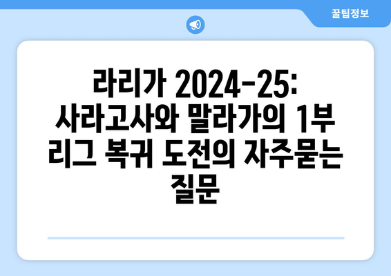 라리가 2024-25: 사라고사와 말라가의 1부 리그 복귀 도전