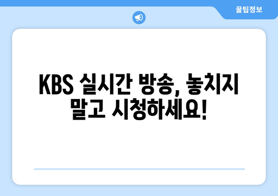 KBS 실시간 방송 시청 방법: 채널 정보와 편성표