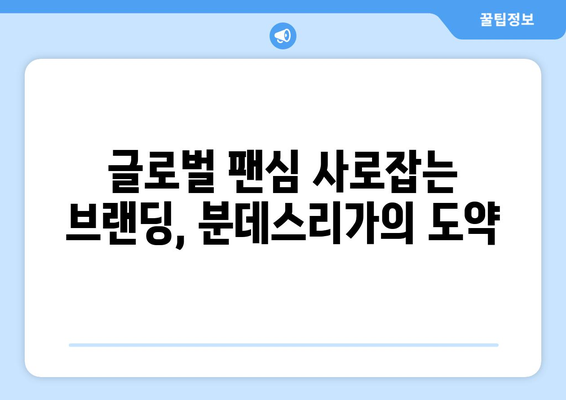 분데스리가 2024/25: 독일 축구의 새로운 리그 로고와 브랜딩 전략