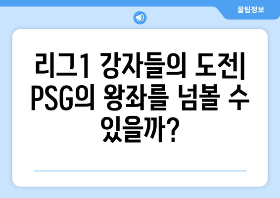 리그1 2024/25: PSG의 새로운 도전과 경쟁 구도 분석