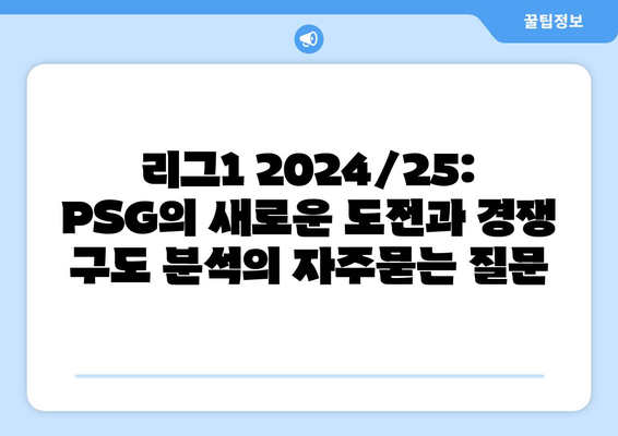 리그1 2024/25: PSG의 새로운 도전과 경쟁 구도 분석