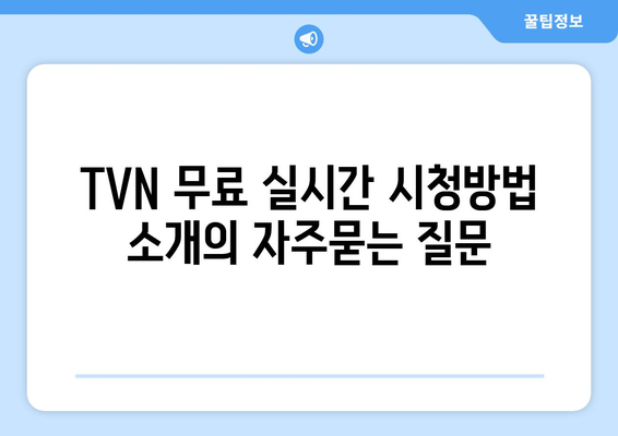 TVN 무료 실시간 시청방법 소개