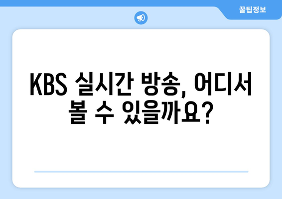 KBS 실시간 방송 시청 방법, 채널 정보, 편성표 확인