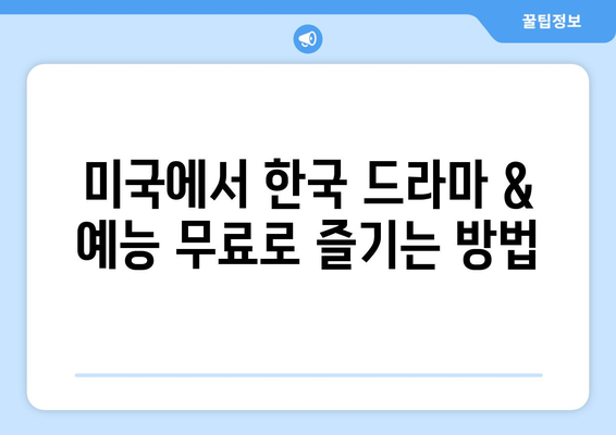 미국에 거주하면서 한국 드라마와 예능 무료 시청