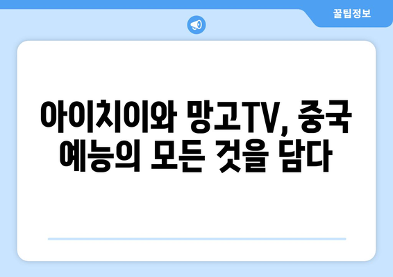 중국 인기 예능 시청 방법: 아이치이와 망고TV