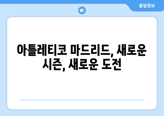 라리가 2024-2025: 아틀레티코 마드리드의 영광을 향한 도전