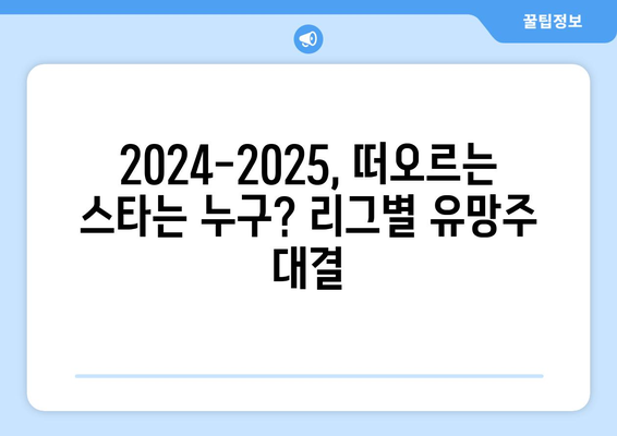 2024-2025 유럽 축구: 리그 간 최고 선수 비교 분석