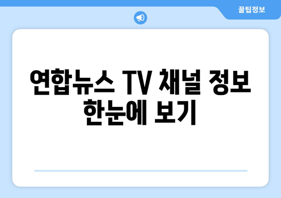 연합뉴스 TV 편성표 및 무료 TV 시청 방법