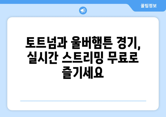 토트넘과 울버햄튼 프리미어리그 중계 무료 시청하기