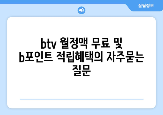 btv 월정액 무료 및 b포인트 적립혜택