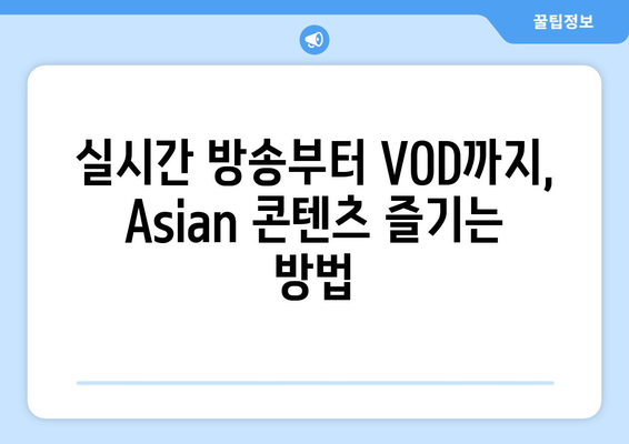 Asian 편성표 최신 채널 번호와 시청 방법 알아보기