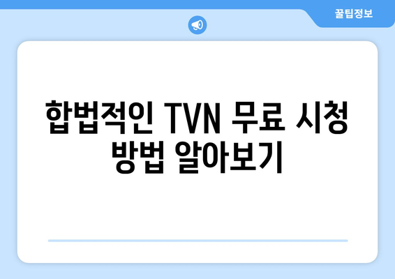 TVN 무료 실시간 시청 방법 소개