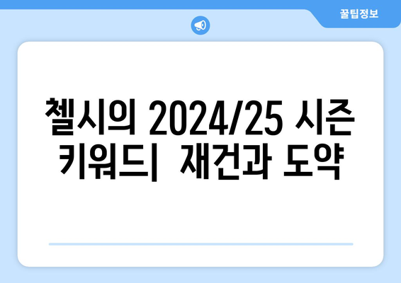 첼시 FC의 재건 프로젝트: 2024/25 시즌 핵심 전력은?