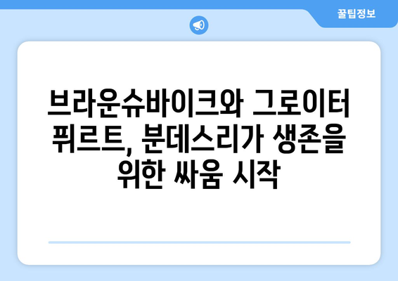 분데스리가 2024/25: 브라운슈바이크와 그로이터 퓌르트의 시즌 목표