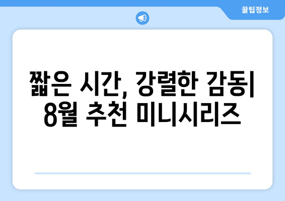 단기간 몰입 가능한 OTT 미니시리즈: 2024년 8월 추천