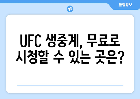 UFC 중계 방송을 무료로 시청하는 방법 안내