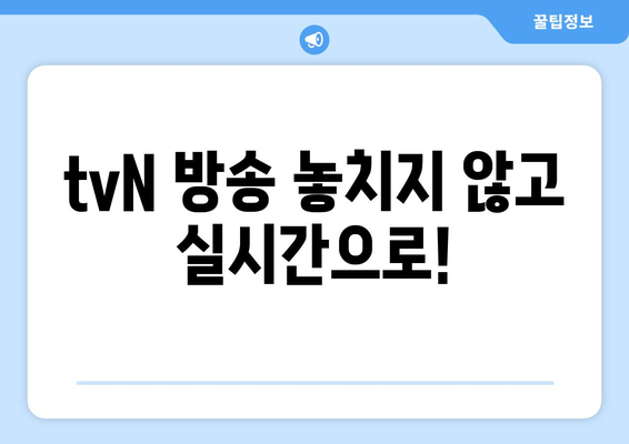 티비엔(tvN)의 실시간 오너 시청법