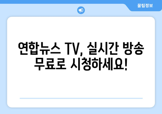 연합뉴스 TV 편성표 및 무료 TV 시청 방법 안내