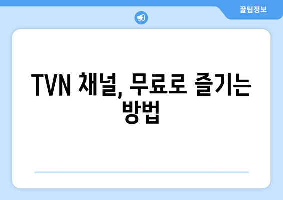 TVN 무료 실시간 시청 방법