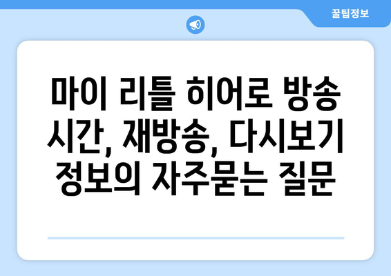 마이 리틀 히어로 방송 시간, 재방송, 다시보기 정보