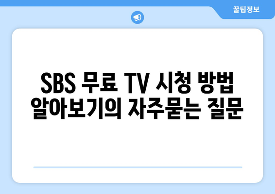 SBS 무료 TV 시청 방법 알아보기