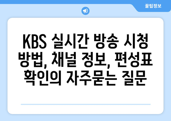 KBS 실시간 방송 시청 방법, 채널 정보, 편성표 확인