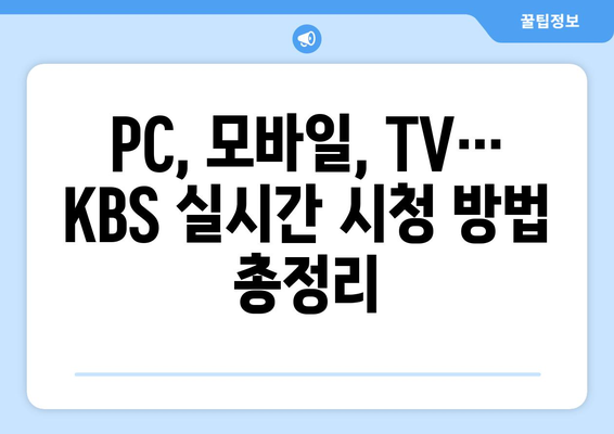 KBS 실시간 방송 시청 방법: 채널 정보 및 편성표 확인