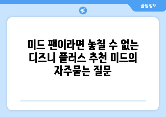 미드 팬이라면 놓칠 수 없는 디즈니 플러스 추천 미드