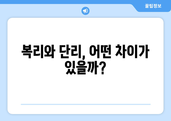 예금 상품 종류, 복리와 단리 상품 중 어떤 것이 좋을까?