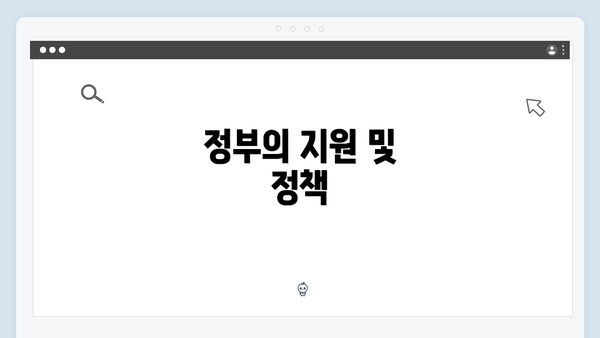 정부의 지원 및 정책