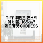 놀라운 165cm 비율, 한소희 TIFF 레드카펫 여신