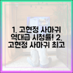 고현정 '사마귀' 연일 최고 시청률! 소름 돋는 이유