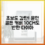 초보도 감탄! 윤민 '골든' 커버, 10CM도 반한 다이아몬드