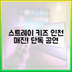 스트레이 키즈 인천아시아드 **매진!** 믿을 수 없는 단독 공연