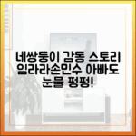 초보 아빠도 눈물 펑펑! 임라라♥ 손민수 네쌍둥이 감동 스토리