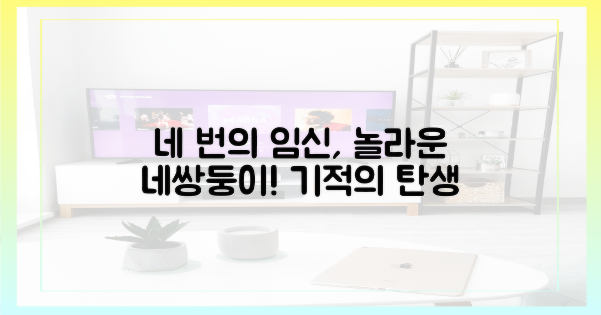 4번의 임신, 네쌍둥이 탄생