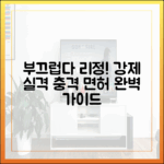 부끄럽다" 리정, 강제 실격! 면허 완벽 가이드 팁