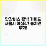 한강버스, 서울시 야심작 선물 완벽 가이드