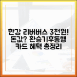 한강 리버버스 3천원, 돈값? 환승/기후동행카드 총정리