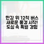 한강 위 12척 버스: 새로운 풍경 시작!