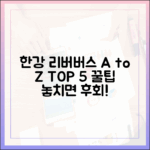 한강 리버버스 A to Z: 꿀팁 5가지!