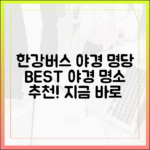 한강버스 야경 명당, 어디일까요?