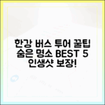 한강 버스 투어 숨은 명소 찾기 완벽 가이드