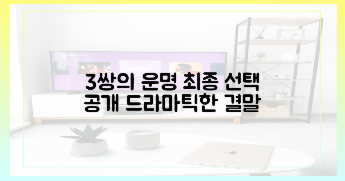 3쌍의 최종 선택
