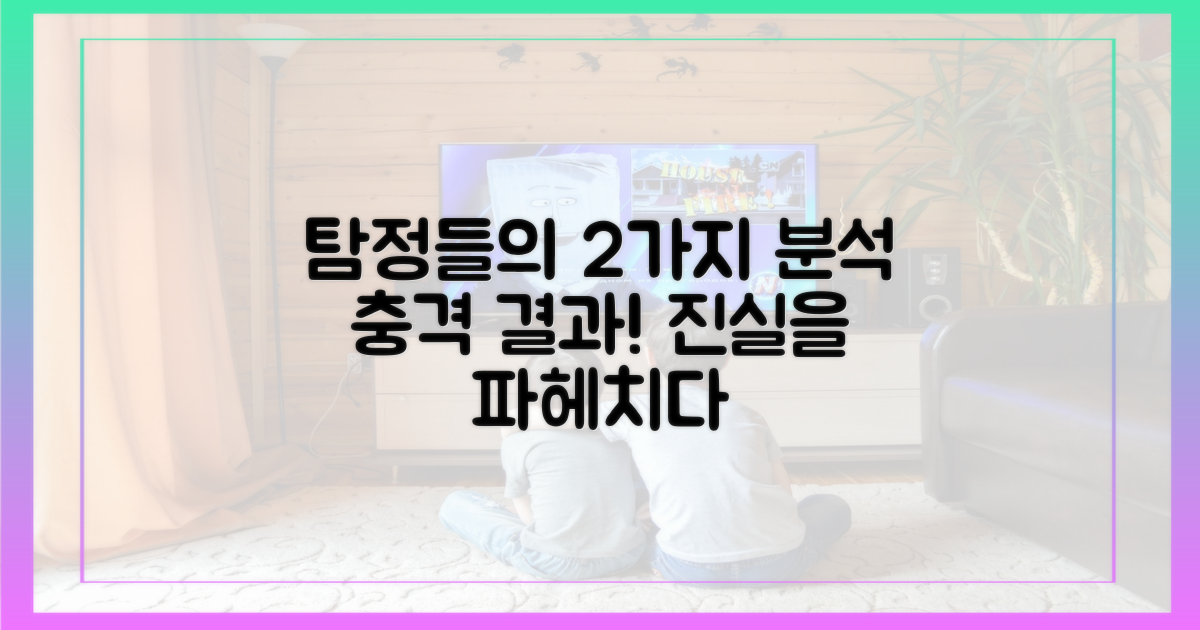 2가지, 탐정들의 분석 결과