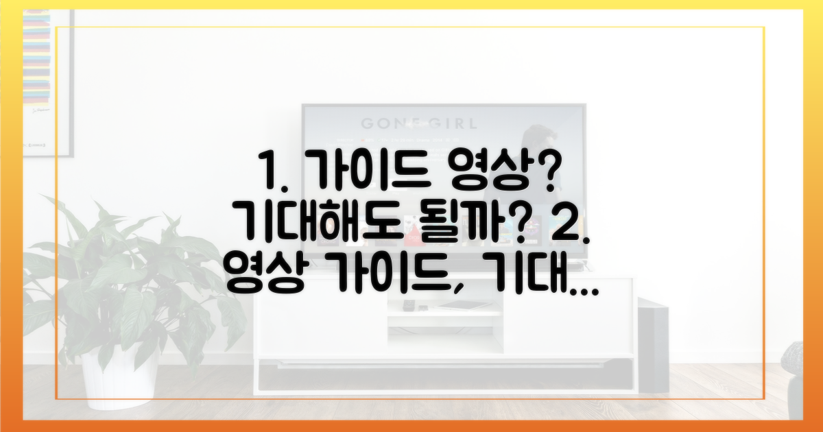 영상 가이드, 기대해도 좋을까?