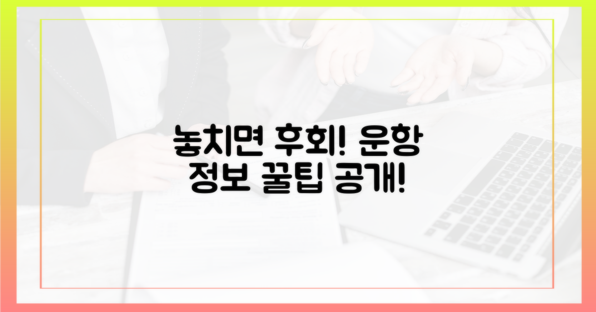 놓치면 후회! 운항 정보 꿀팁